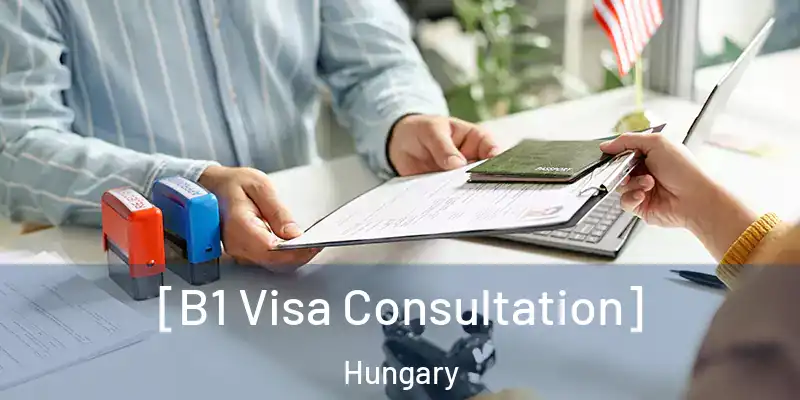  [B1 Visa Consultation] Hungary